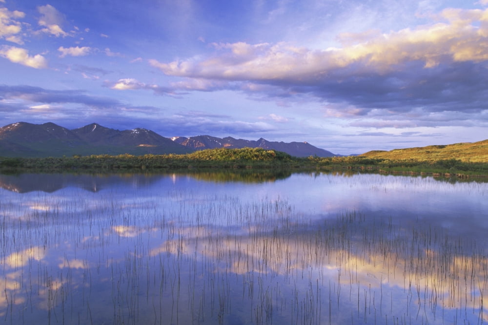 Evening Scenic Small Lake Alaska Range Interior Ak Fall Canvas Art - Michael DeYoung Design Pics (38 x 24)