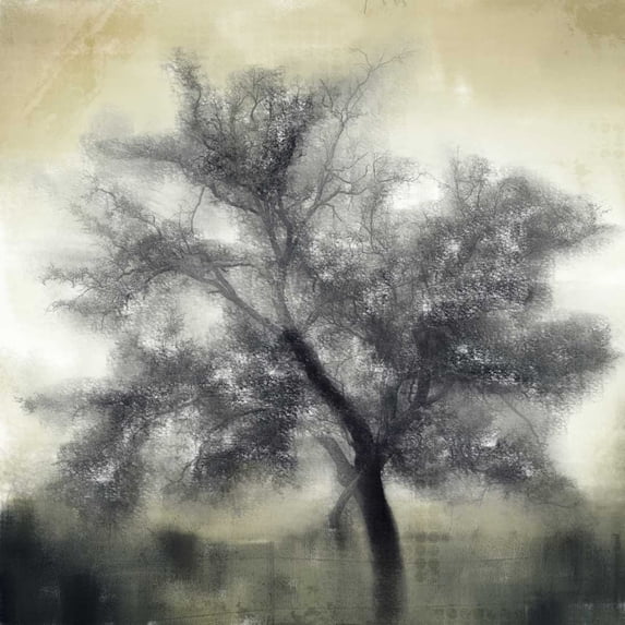 Evening Shadows Poster Print by Kimberly Allen