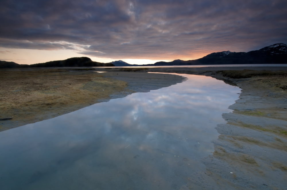 Evening Sky Reflects On The Incoming Tide At Harntey Bay Near Cordova Chugach National Forest Southcentral Alaska Spring Canvas Art - Carl Johnson Design Pics (17 x 11)