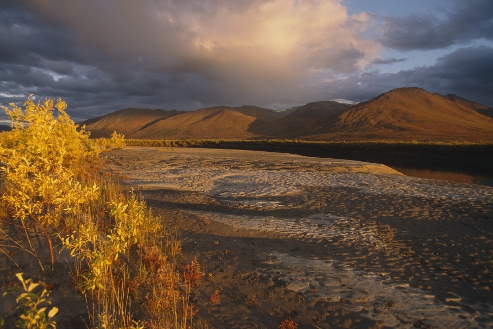 Evening Sun Across Tundra Along Kobuk River Kobuk National Park Western Alaska Autumn Canvas Art - Joel Bennett Design Pics (34 x 22)