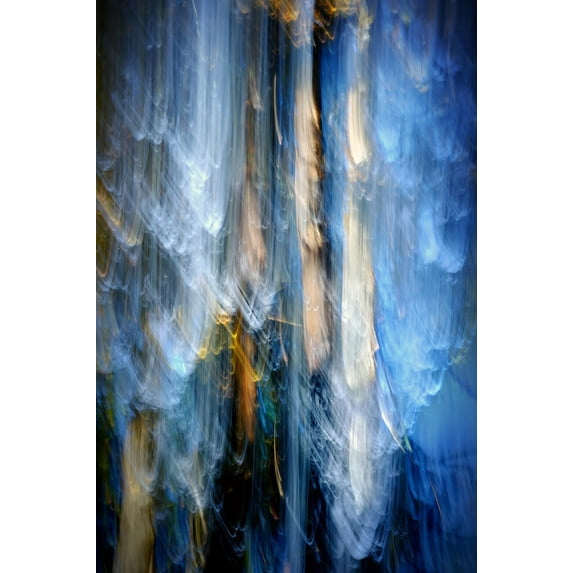 Art.com Evening Trees 1 Photographic Print by Ursula Abresch, 16" x 24"