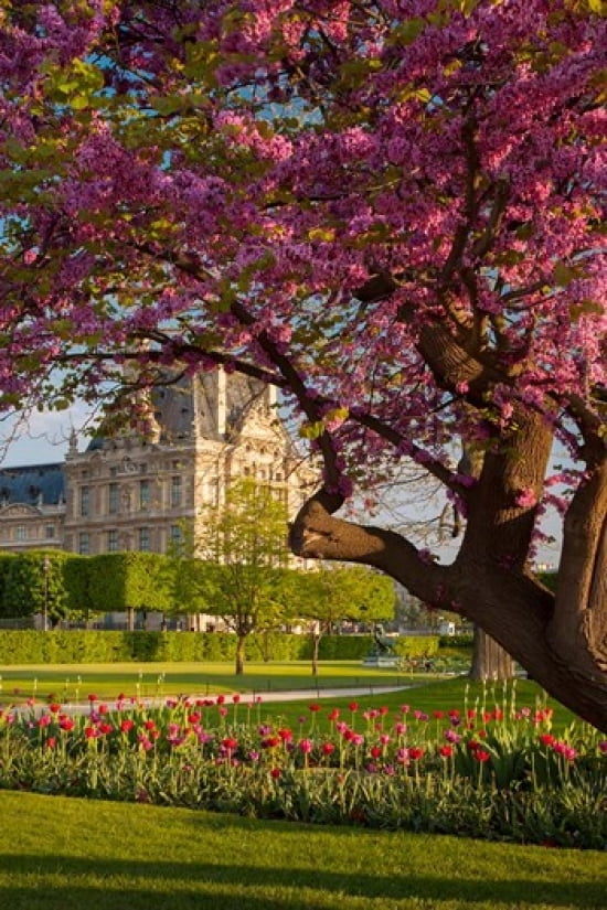 Evening in Jardin des Tuileries Canvas Art - Brian Jannsen DanitaDelimont (19 x 28)