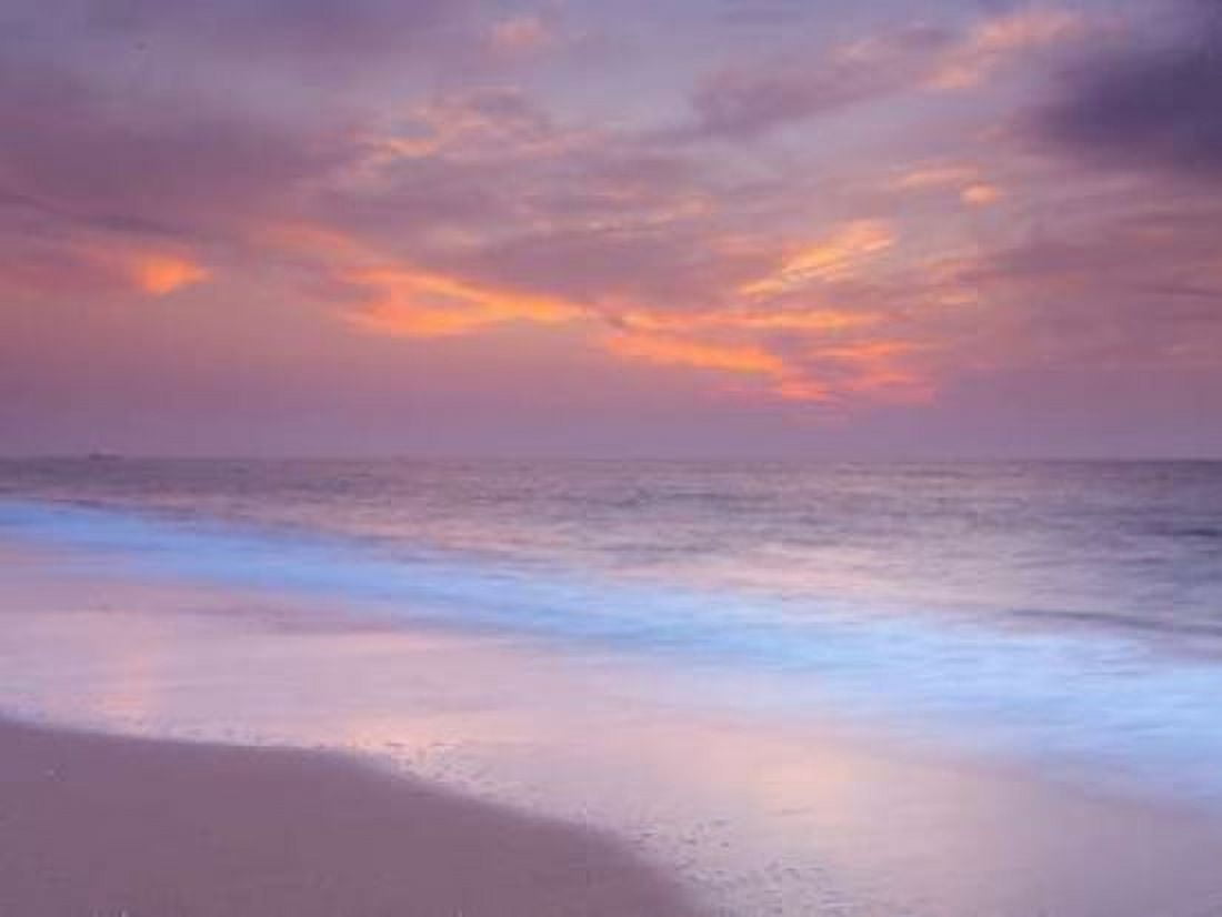 Evening view of beautiful beach in Israel Canvas Art - Assaf Frank (18 x 24)