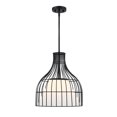 thumbnail image 1 of Evensong 60 Watt 1-Light Matte Black Bell Pendant with Etched Opal Glass Shade and Metal Outer Cage, 1 of 11
