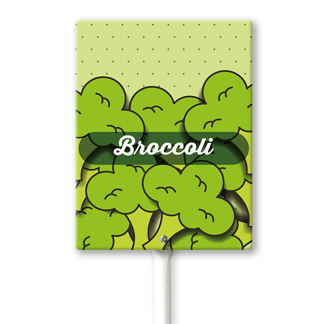 Eveokoki Garden Signs For Vegetables With Stake Broccoli Garden Signs ...