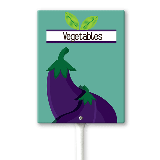 Eveokoki Vegetable Signs For Garden With Stake Broccoli Yard Sign Vegetable Garden Label Stakes Plant Markers For Outdoor Plants Waterproof 8x12inch Nursery Garden Fruit Outdoor Sign