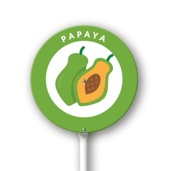 Eveokoki Vegetable Signs For Garden With Stake Papaya Yard Sign Vegetable Garden Label Stakes Plant Markers For Outdoor Plants Waterproof 9.2x9.2inch Nursery Garden Fruit Outdoor Sign