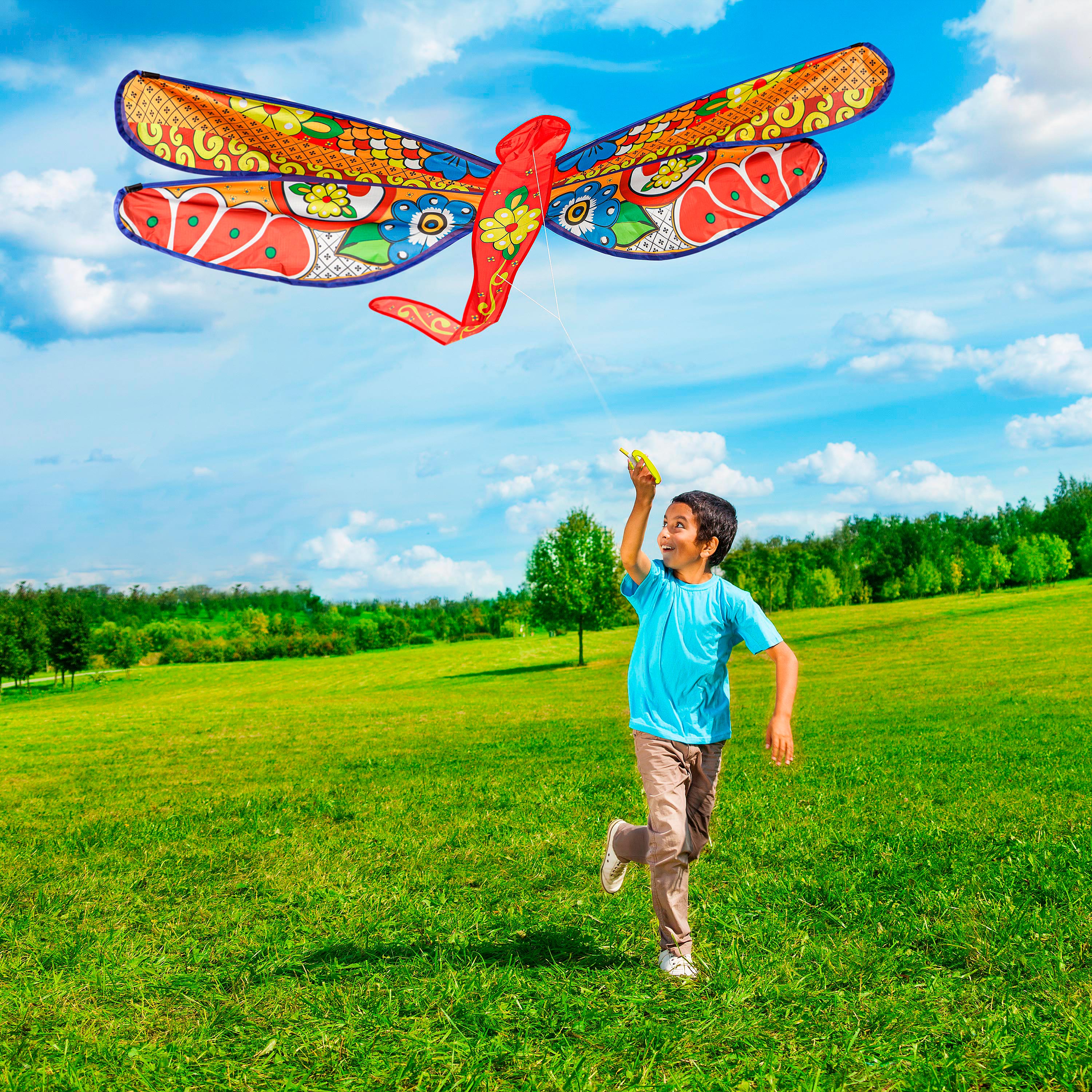 Ever Fliers Talavera Dragonfly Kite with Reel