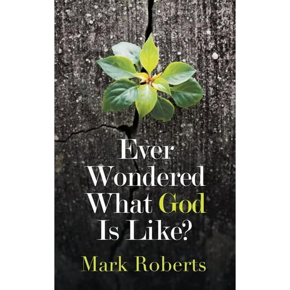 Ever Wondered What God Is Like?