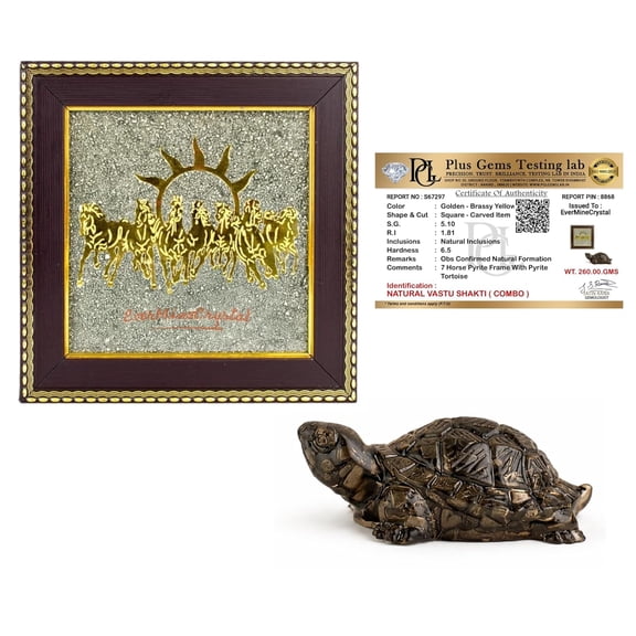EverMineCrystal Vastu Shakti Combo 7 Horses on Raw Pyrite Frame with Pyrite Turtle (Kachhua) | Wealth, Success & Prosperity Vastu Items for Home & Office | Good Luck Decor Gift