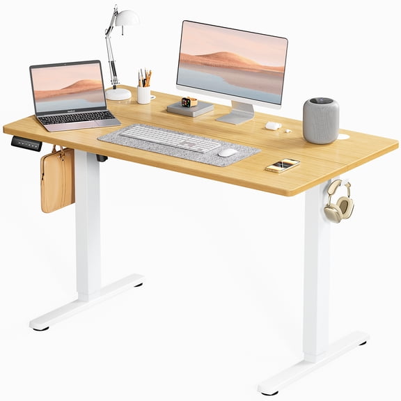 EverPick Electric Standing Desk 40/48/55/63 Inch Height Adjustable Desk, 4 Memory Presets,Motorized Sit Stand Desk with Quiet Dual Motor, Modern Ergonomic Computer Desk for Home Office