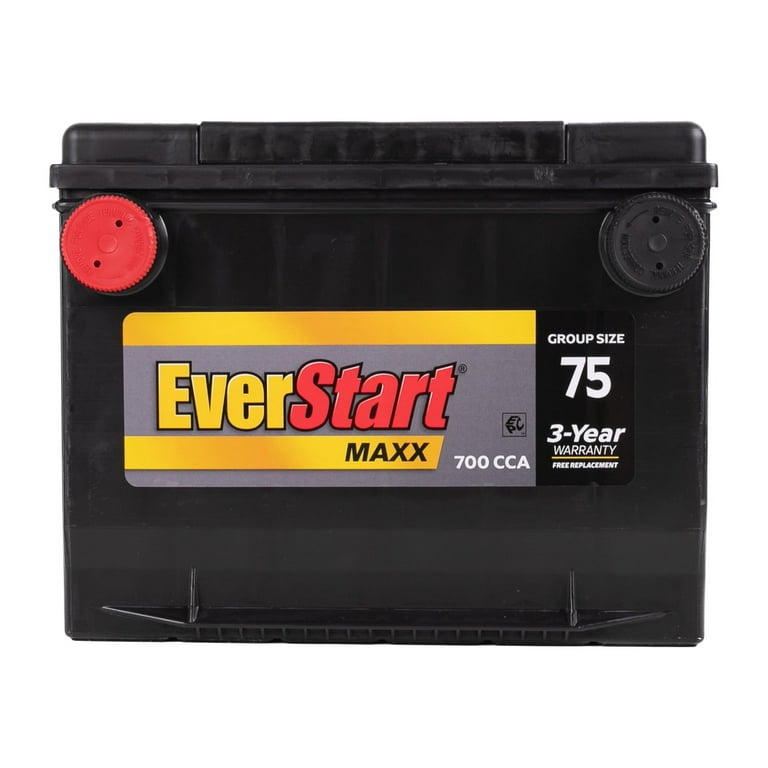 EverStart Maxx Automotive Battery, Group Size 75 - 12 Volts - 700 CCA