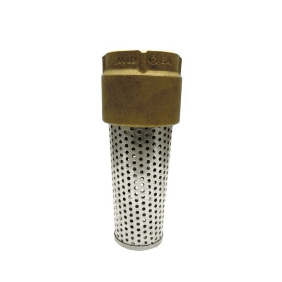 Everbilt 1 in. Brass Foot Valve - New