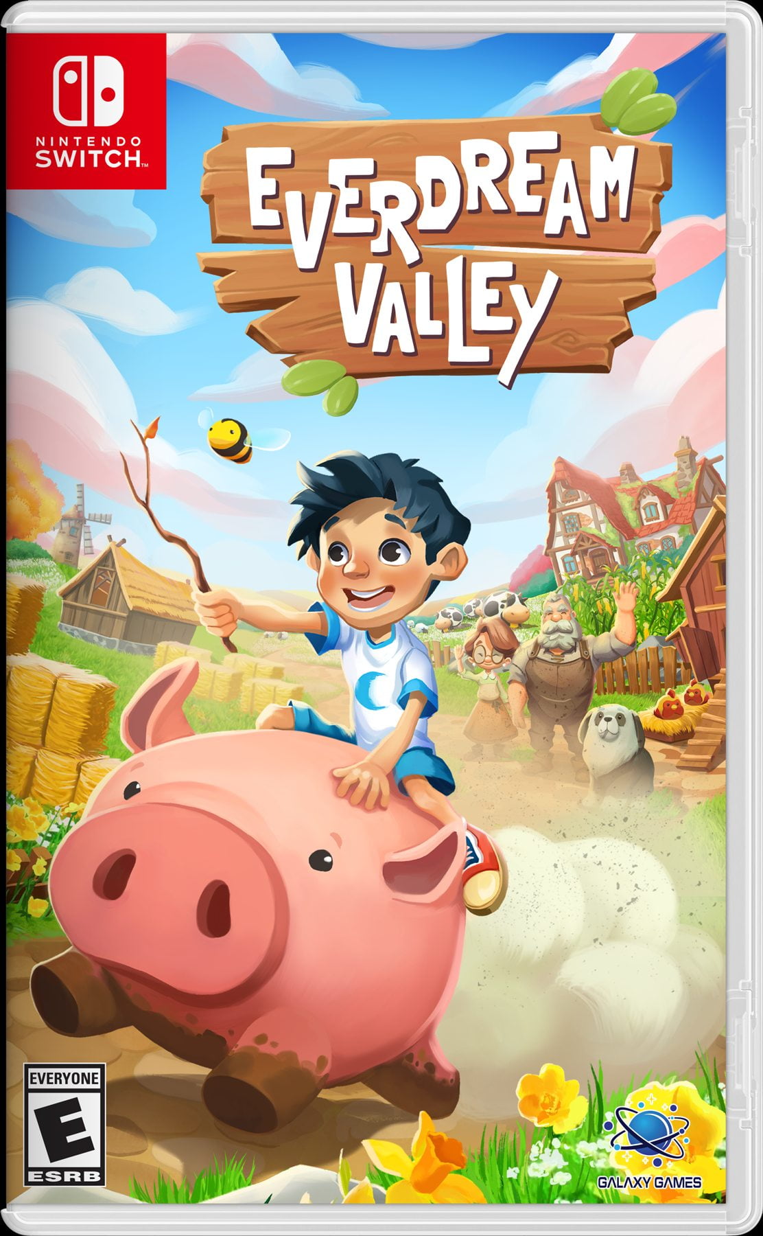 Everdream Valley, Nintendo Switch