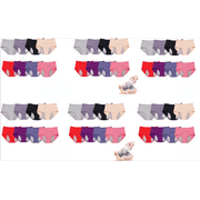 Everdries Leakproof Panties for Over 60#s with Incontinence - 48 Pack Everdries Leakproof Ladies Underwear