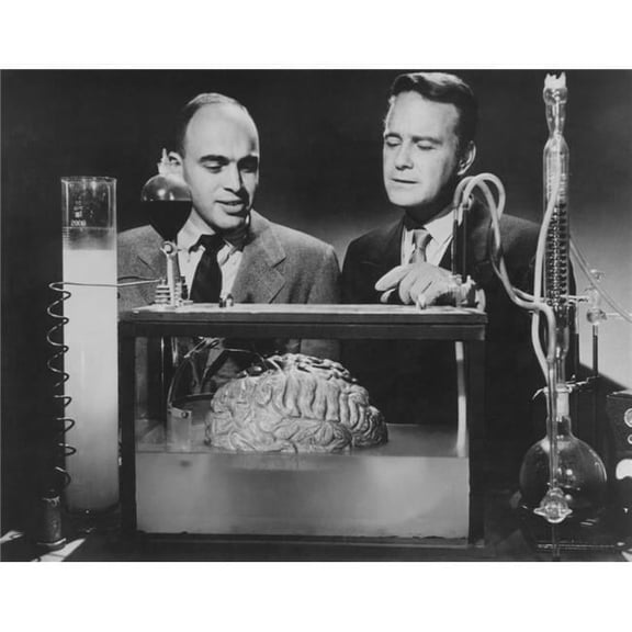 Everett Collection EVCMBDDOBREC028LARGE Donovans Brain Photo Print, 20 x 16 - Large