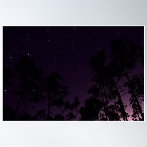 Everglades National Park, Florida Poster Wall Art, Modern Wall Decor, 24x36 UNFRAMED