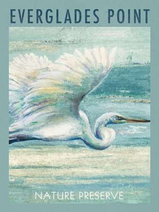 Everglades Poster I Canvas Art - Patricia Pinto (18X24)