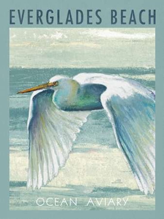 Everglades Poster II Canvas Art - Patricia Pinto (18X24)