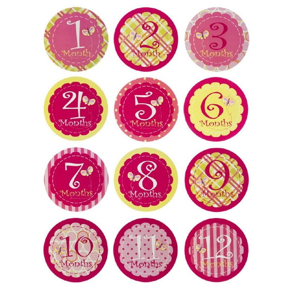 Evergreen 7BS012 Blossoms and Buds Pink My First Year Monthly Belly Stickers