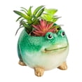 thumbnail image 1 of Evergreen Ceramic Frog Planter with Succulent, 1 of 3
