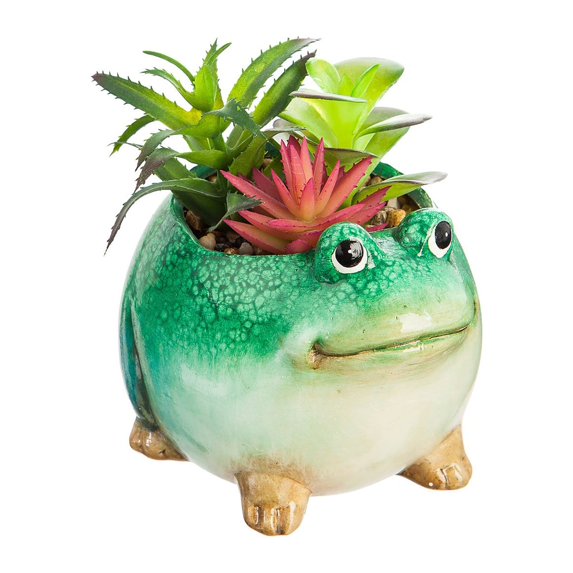 Evergreen Ceramic Frog Planter with Succulent