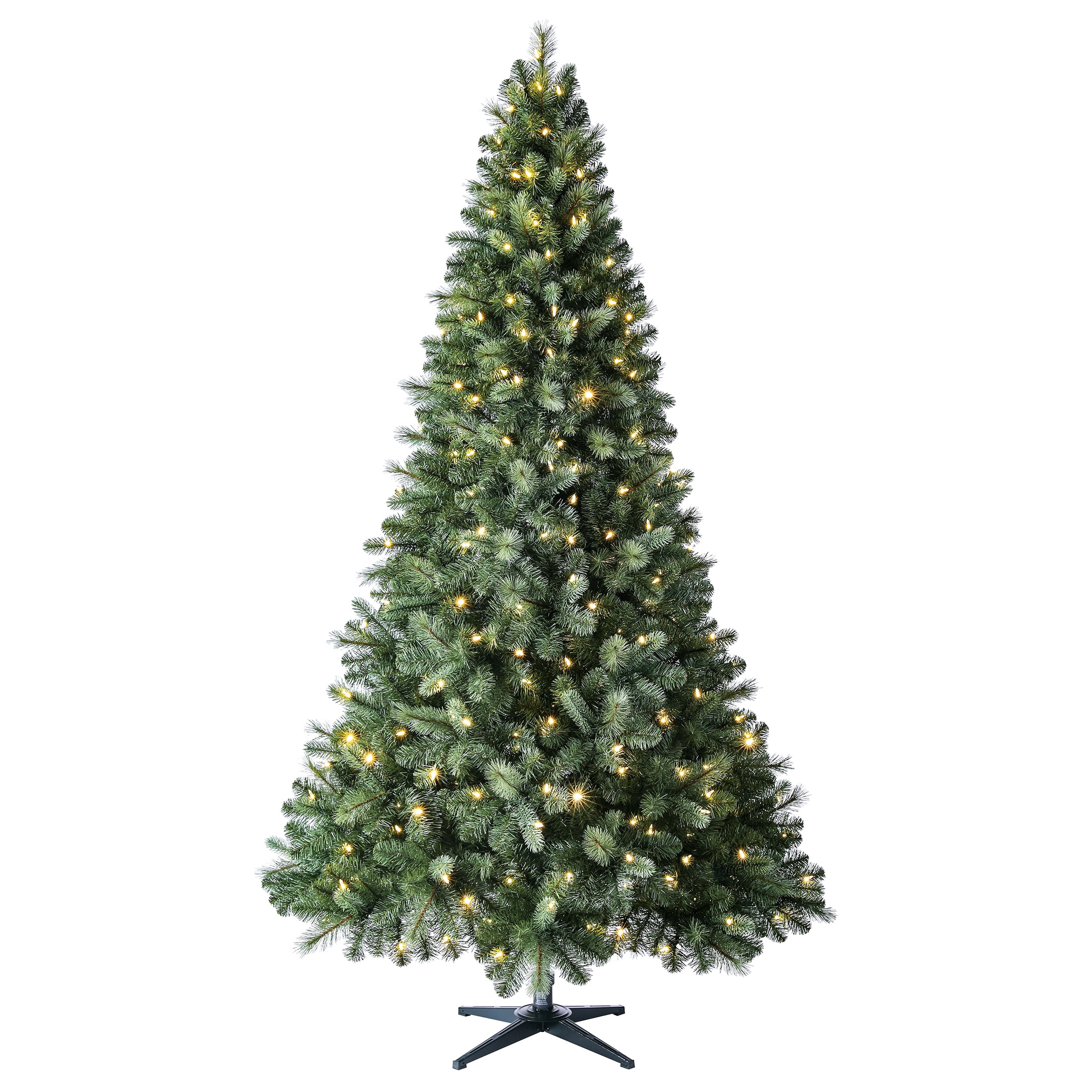 Evergreen Classics PreLit 7.5