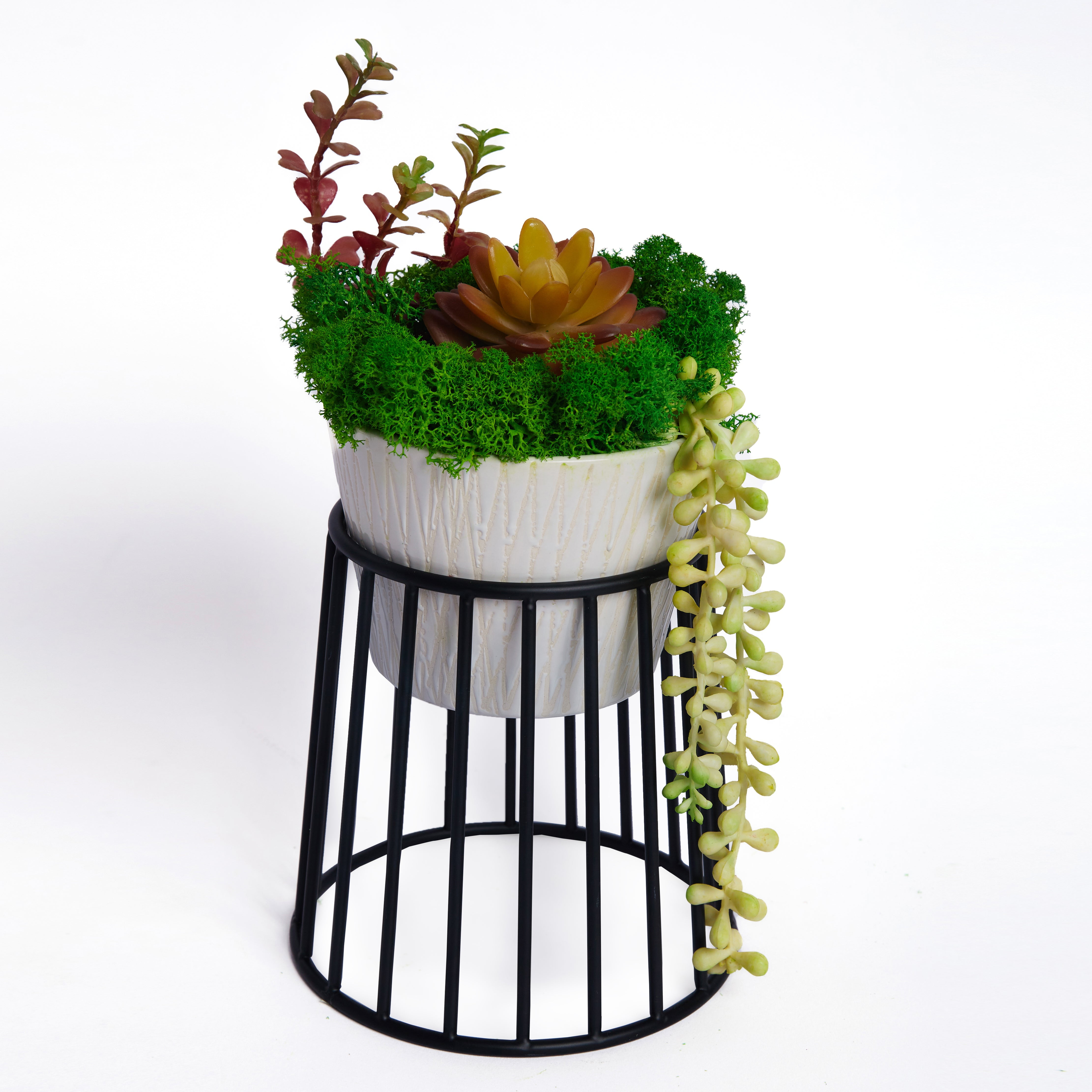 "Evergreen Elegance" Succulent Moss Bonsai in Ceramic Pot Table Decor with Pot Holder