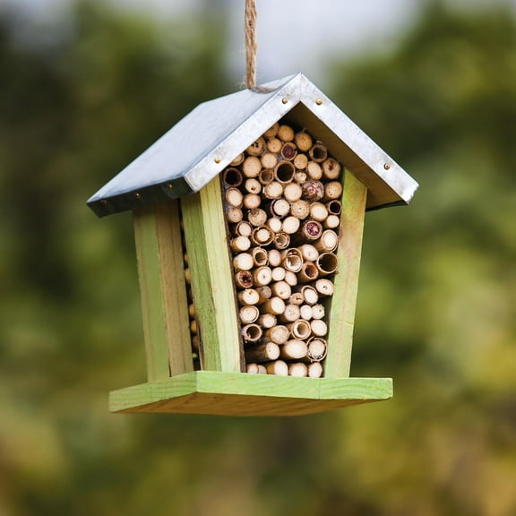 Evergreen Enterprises Bee Habitat