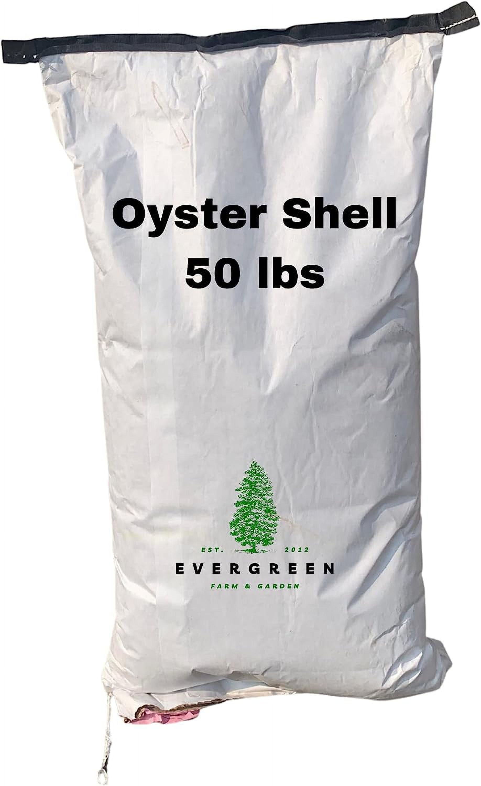 Evergreen Farm and Garden 50 lb Bag Oyster Shell - Calcium Rich Bird Grit Component to Aid in Digestion