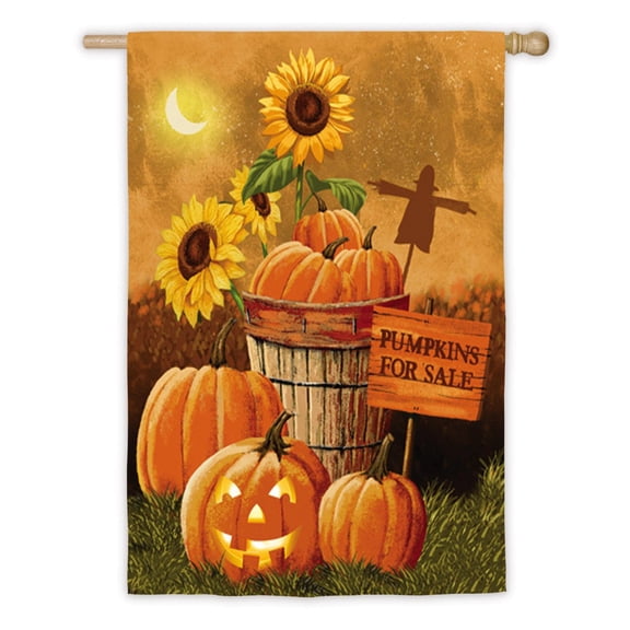 Evergreen Flag Pumpkin Patch for Sale House Flag