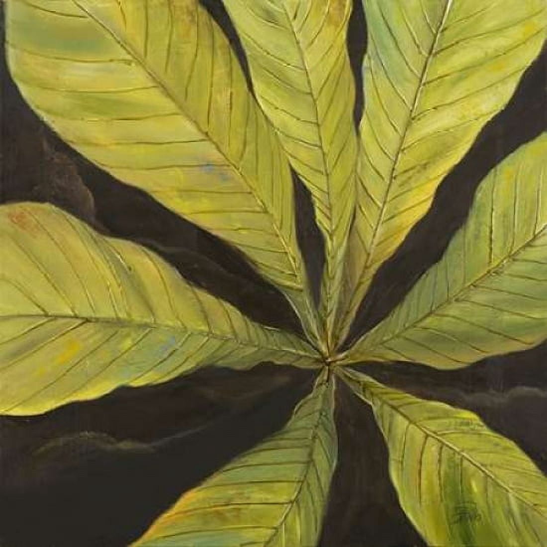 Evergreen I Canvas Art - Patricia Pinto (24 x 24)