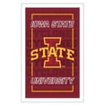 thumbnail image 1 of Iowa State Cyclones 14" x 22" Neolite LED Rectangle Wall Sign, 1 of 2
