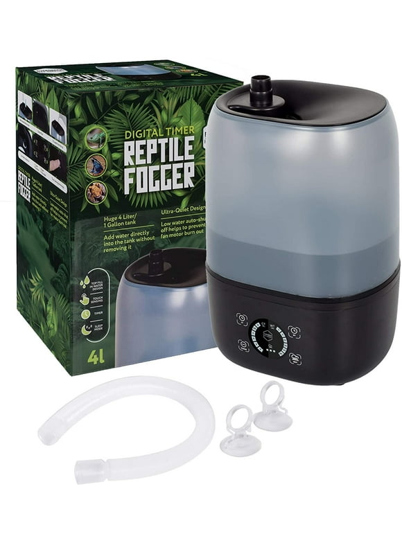 Hermit Crabs in Reptiles