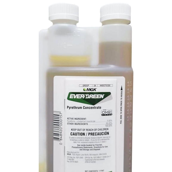 Evergreen Pyrethrum Concentrate (16 OZ)