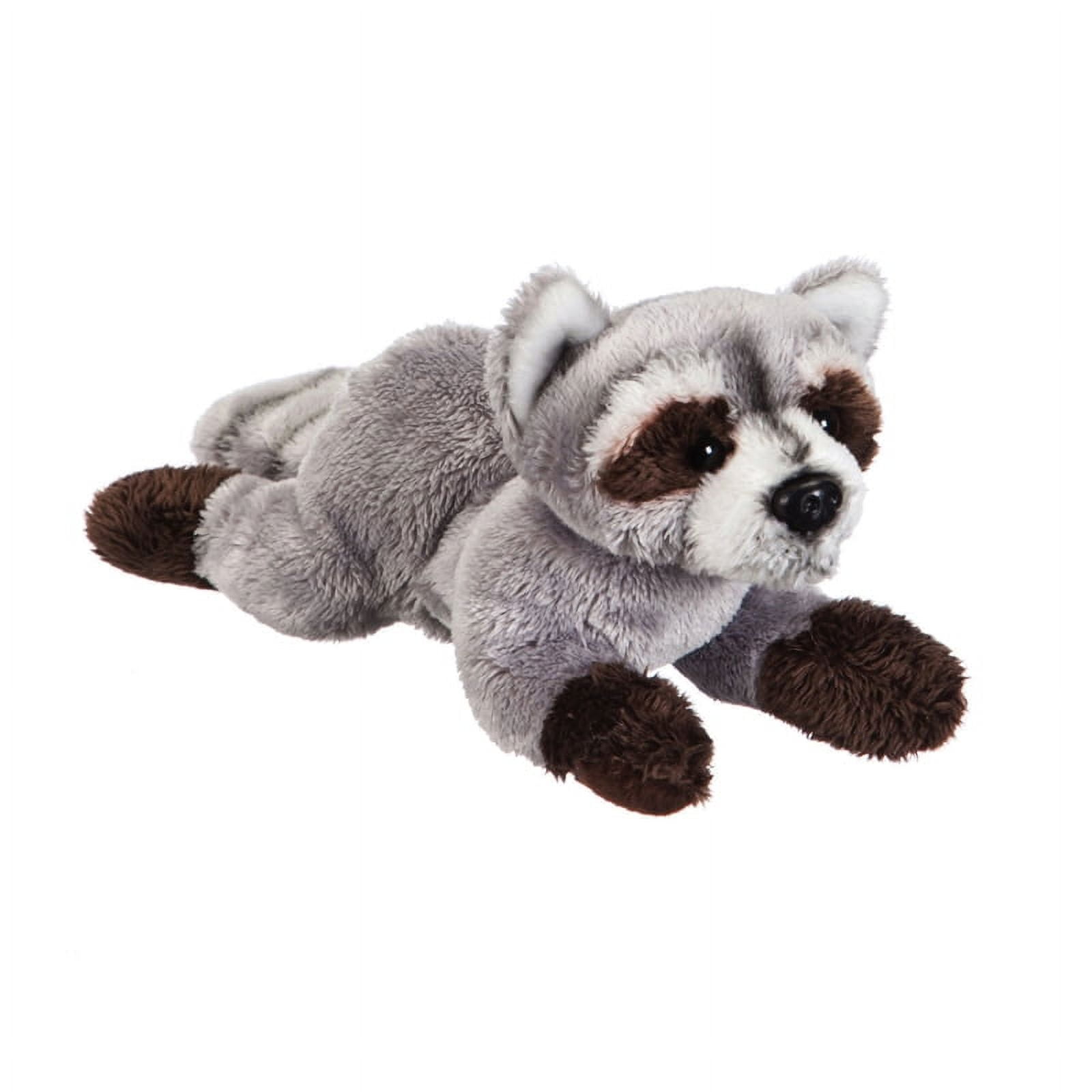 Evergreen Raccoon 8" Bean Bag