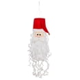 thumbnail image 1 of Evergreen Santa 3D Windsock, 1 of 3