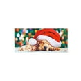 thumbnail image 1 of Evergreen Santa Puppy and Kitten Sassafras Indoor Outdoor Switch Doormat 1'10"x10" Multicolored, 1 of 4