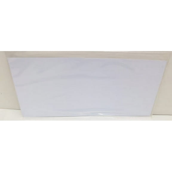 Evergreen Scale Models White Sheet .100 12 X 24 (2), EVG19100
