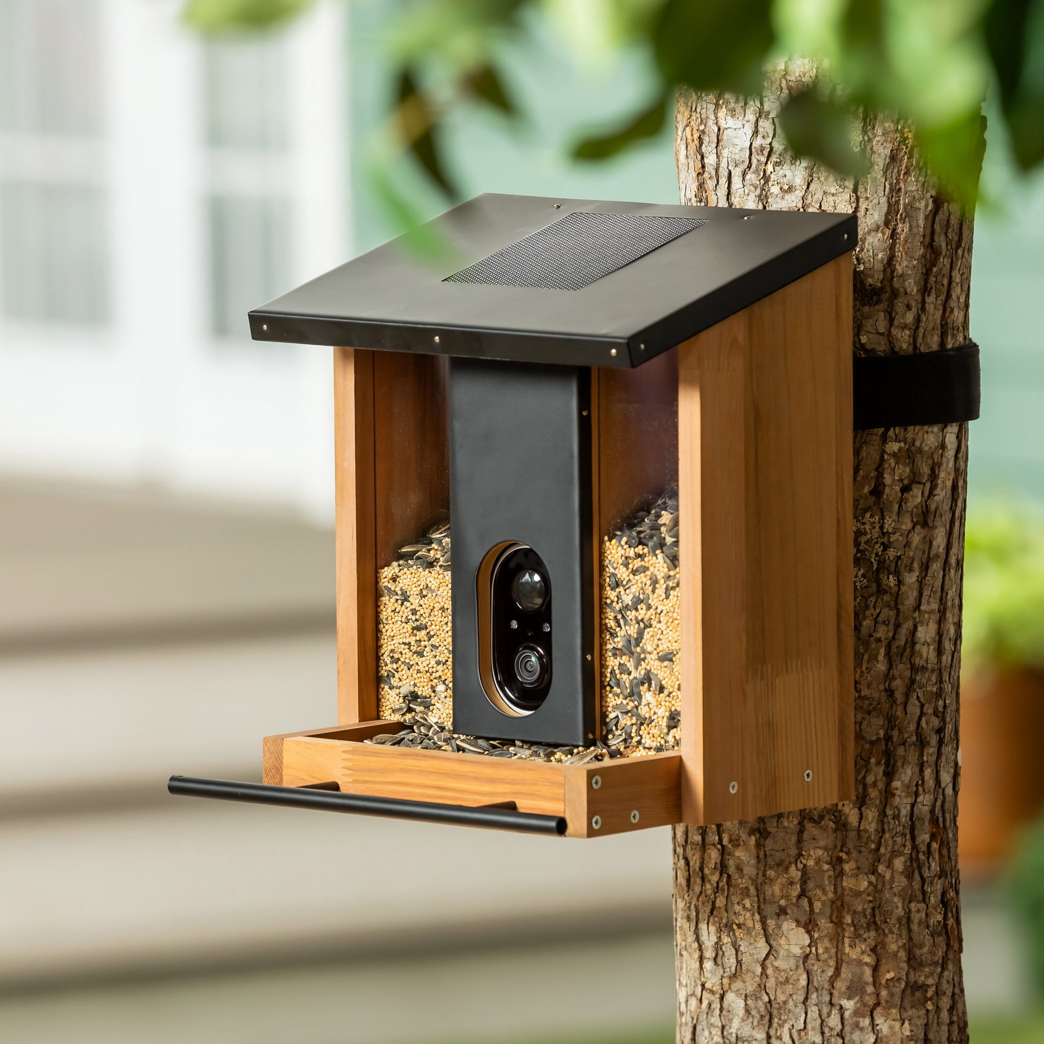Evergreen Smart Camera Bird Feeder with Solar Panel