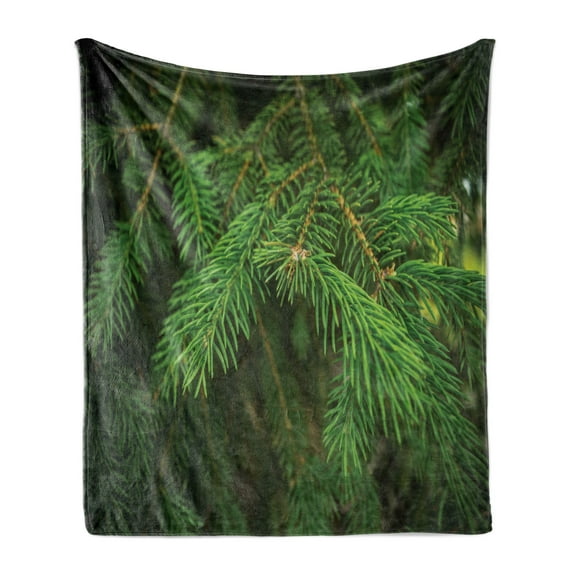 Evergreen Soft Flannel Fleece Throw Blanket, Pattern of Branches of a Fir Closeup Image with a Blurred Background, Cozy Plush for Indoor and Outdoor Use, 50" x 60", Fern Green Evergreen, by Ambesonne