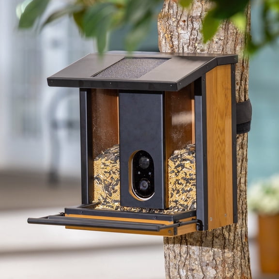 Evergreen Smart Bird Feeder with Solar Camera