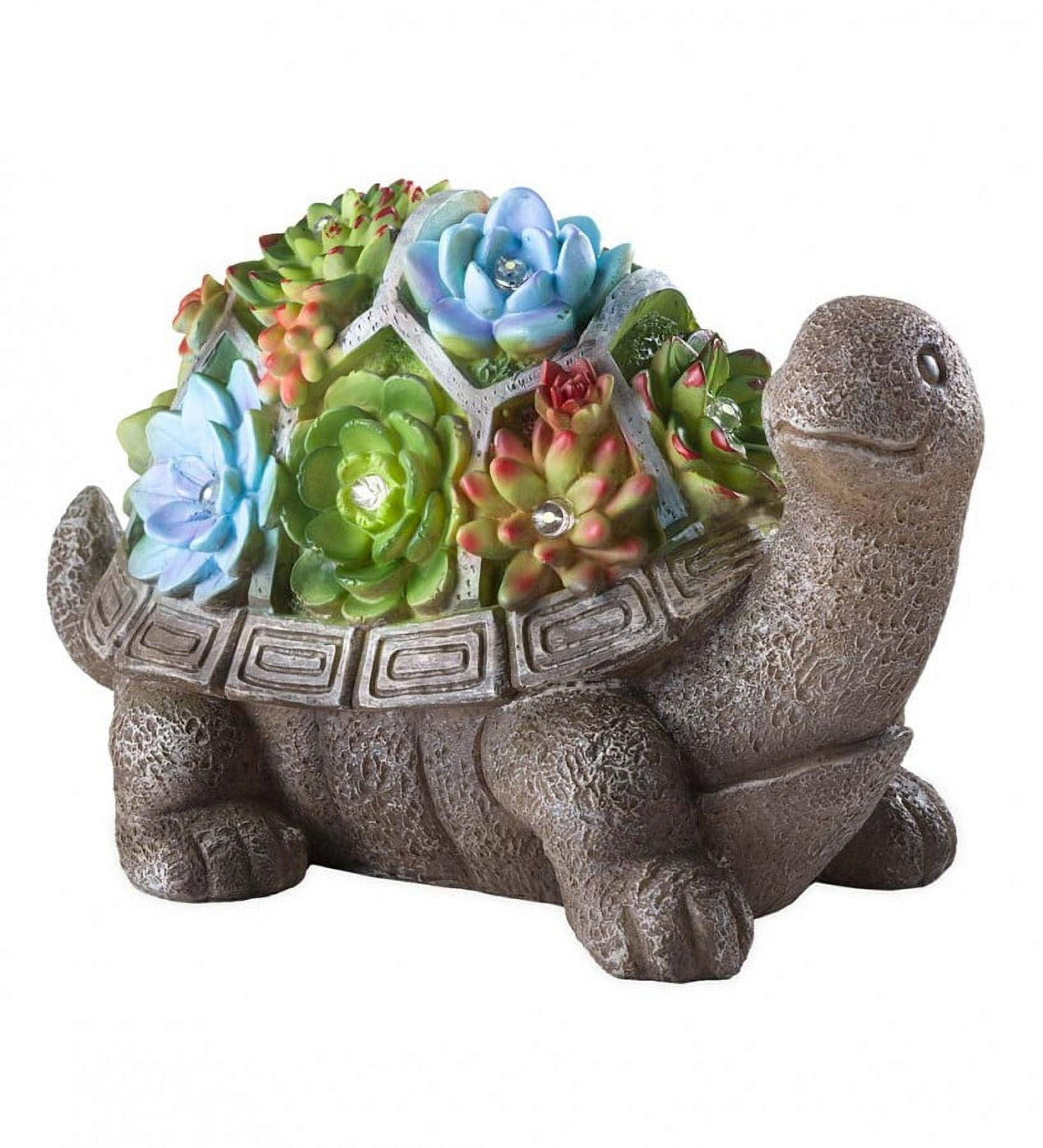 Evergreen Solar Succulent Turtle Garden Statue - Turtle