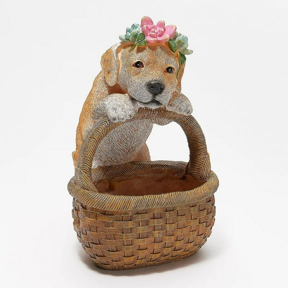 Succulent Planter Basket, , Dog