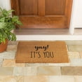 thumbnail image 1 of Evergreen YAY! IT'S YOU Natural Coir Indoor Outdoor Doormat 1'4"x2'4" Brown, 1 of 4