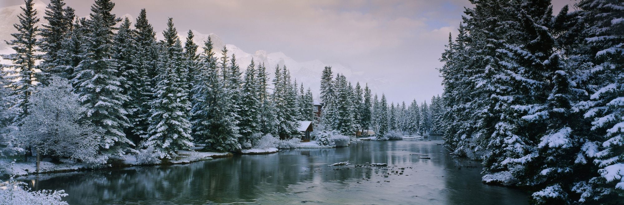 Evergreen trees covered with snow Policemans Creek Canmore Alberta Canada Canvas Art - Panoramic Images (36 x 12)