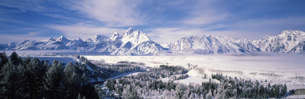 Evergreen trees on a snow covered landscape Grand Teton National Park Wyoming USA Canvas Art - Panoramic Images (27 x 9)