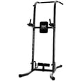 Everlast Power Fitness Station