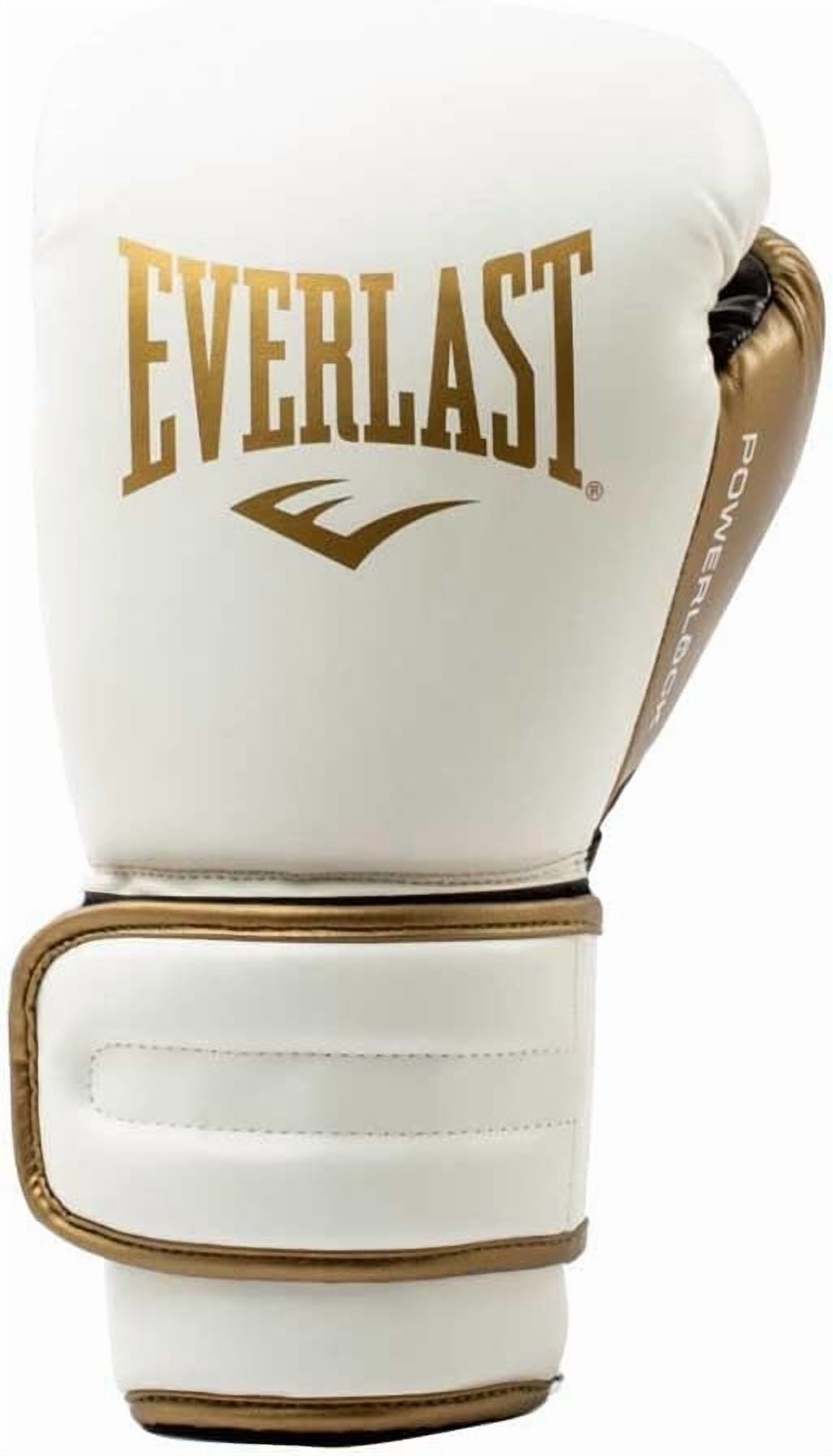 EVERLAST POWERLOCK2 12オンス エバーラスト　パワーロック2 Everlast Powerlock 2 Boxing Gloves | Secure Lace-Up Fit