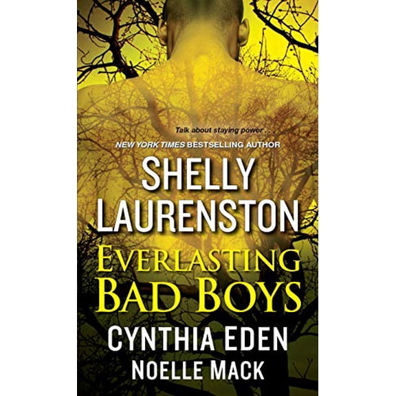 Pre-Owned Everlasting Bad Boys Paperback